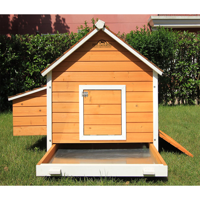Pets Imperial® Chicken Coops 8.2 Square Feet Nesting Boxes with Nesting